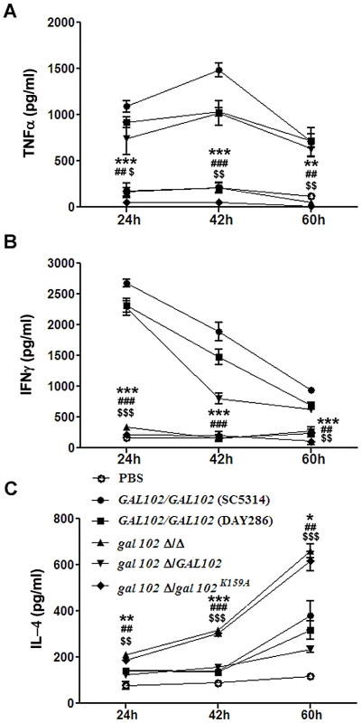 Reduced virulence is associated with the inability of <i>gal102Δ/Δ</i> to elicit pro-inflammatory cytokine response in the host.