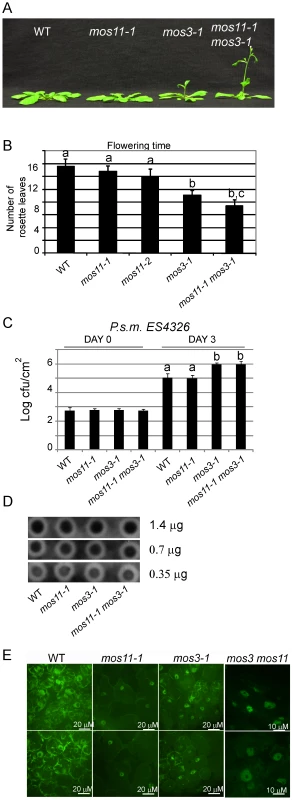 <i>mos11-1 mos3-1</i> double mutant is impaired in flowering time, basal defense, and mRNA export.