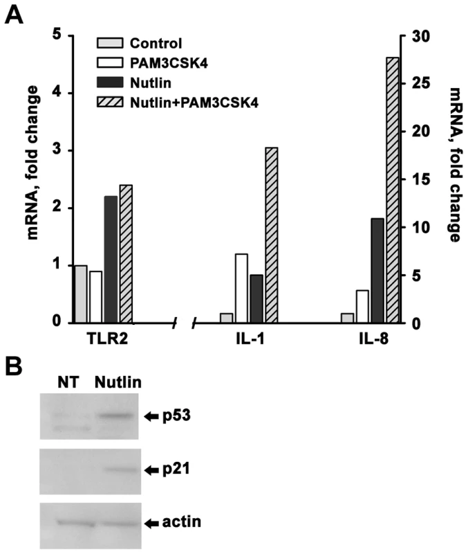 Induction of p53 sensitizes freshly isolated CD3+ cells to PAMP stimulation.
