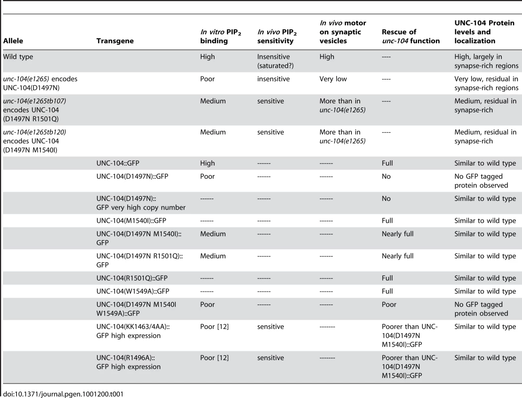 Summary of all UNC-104 alleles and transgenes and their behaviour in multiple assays.