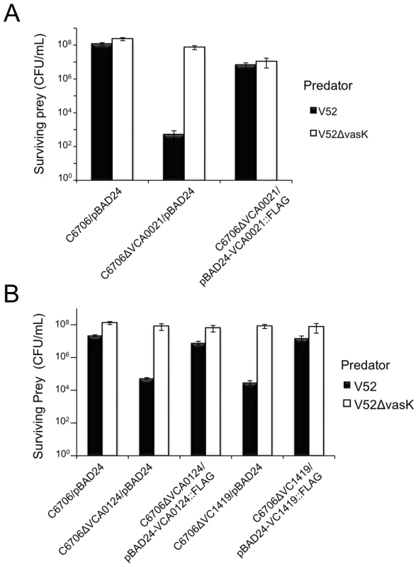 Episomal expression of VCA0021, VCA0124, and VC1419 protects respective mutants from T6SS killing.