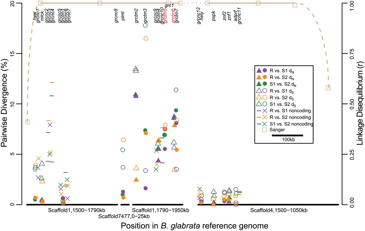 Pairwise divergence of GRC genes.