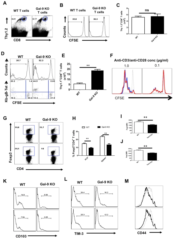 Galectin-9 deficiency extrinsically influences the virus-specific CD8<sup>+</sup> T cell responses.