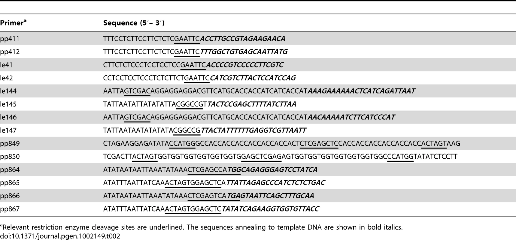 DNA oligonucleotides used as PCR primers for plasmid construction and cloning.
