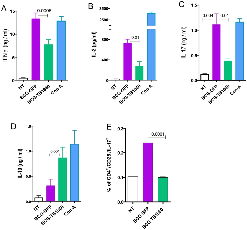 <i>In vitro</i> recall responses of splenocytes from BCG-immunized mice.
