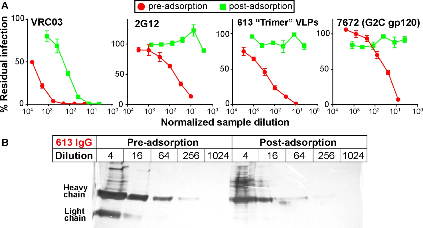 Adsorption to native Env trimer expressed on cell surfaces removes potent serum neutralizing activities.