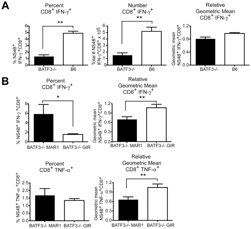 Effect of deletion of BATF3 and loss of CD8-α dendritic cells on CD8<sup>+</sup> T cell responses after WNV infection.