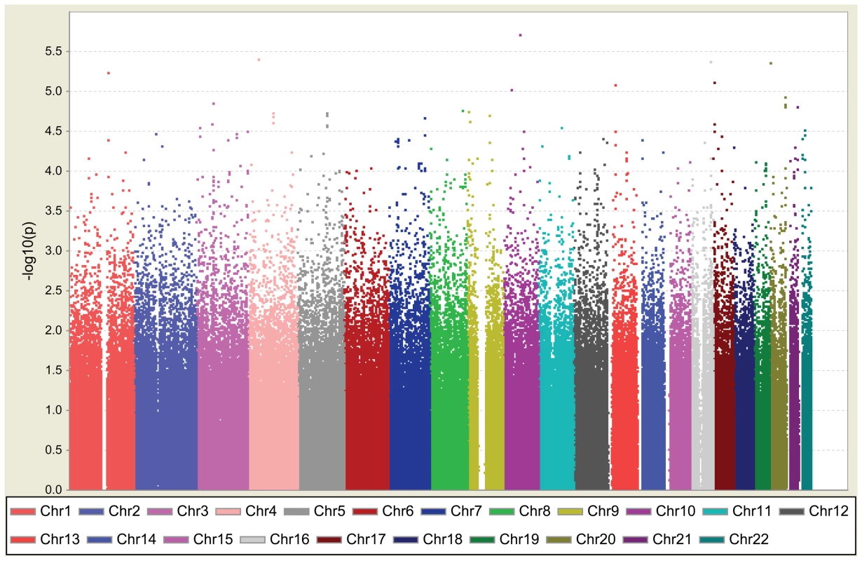 Graphical summary of T2D GWAS in a Han Chinese population.