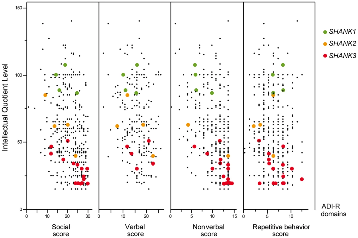Scatter plots of the intellectual quotient and the Autism Diagnostic Interview-Revised (ADI-R) scores of the patients with ASD screened for <i>SHANK1-3</i> mutations.