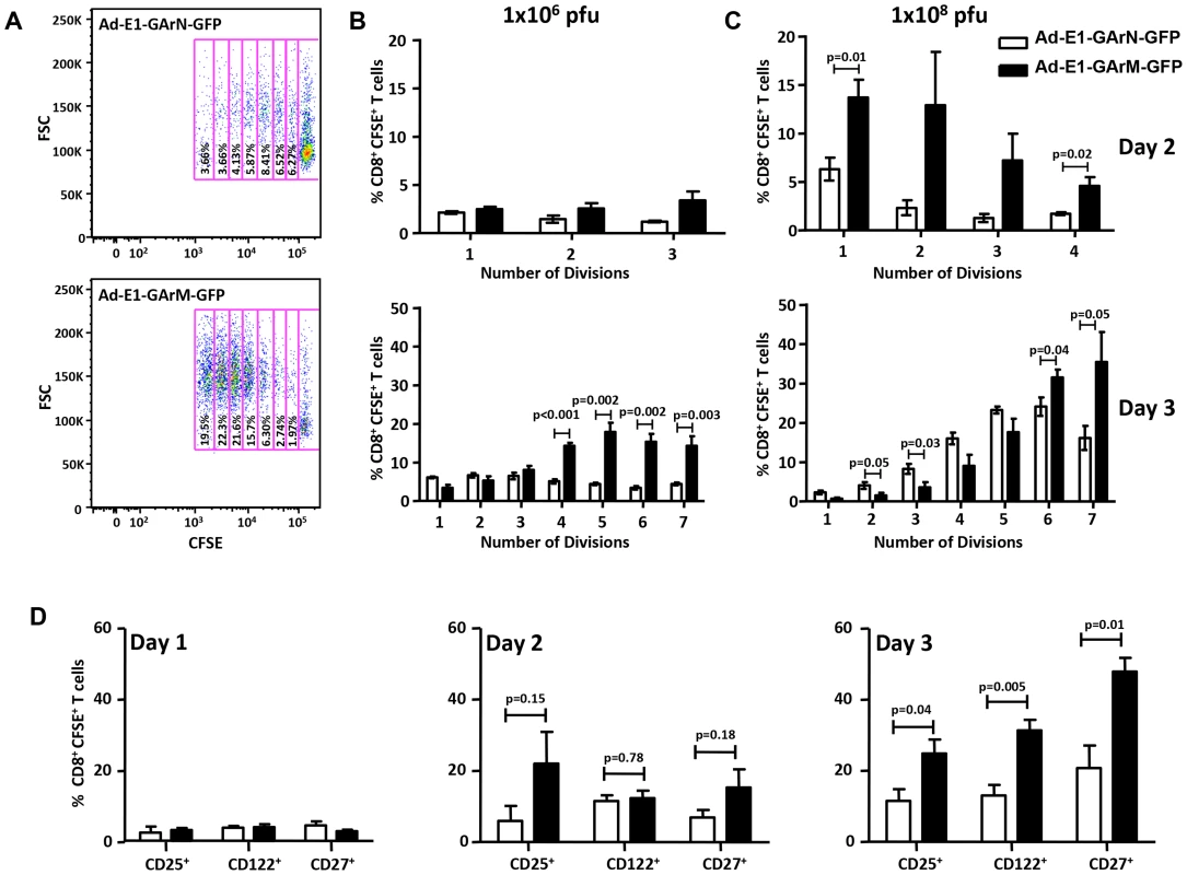 T cell proliferation and activation are influenced by differentially translated EBNA1 mRNAs.