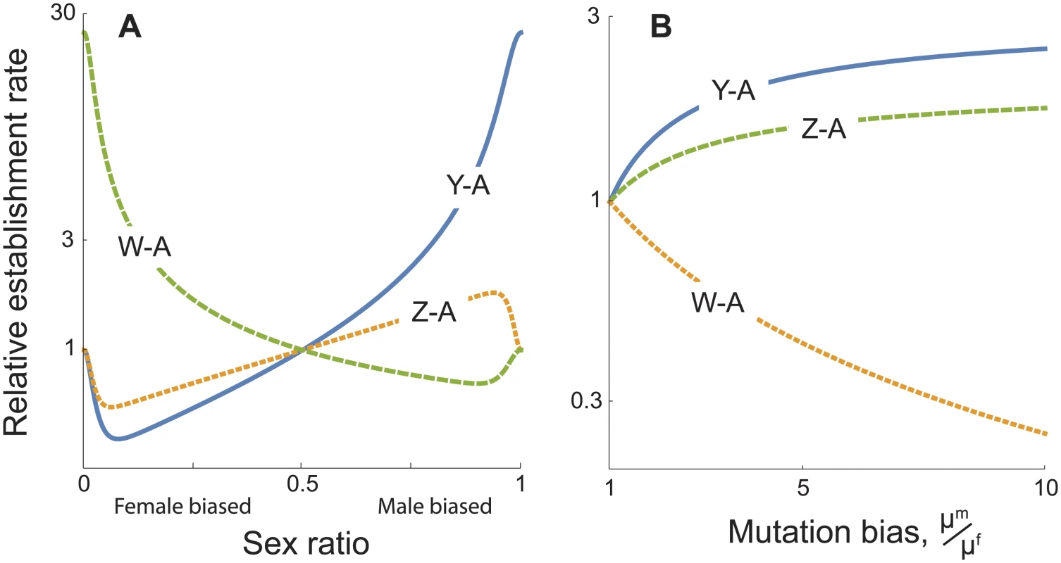 Establishment rates of sex chromosome-autosome fusions as a result of sexually antagonistic selection, relative to the rate for X-A fusions.