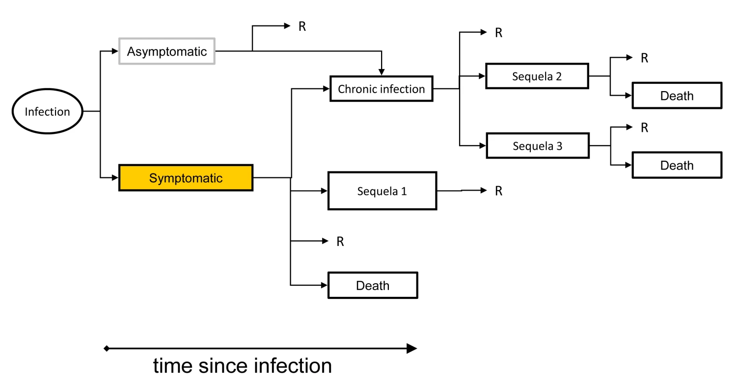 An outcome tree linking exposure, infection and all sequelae.