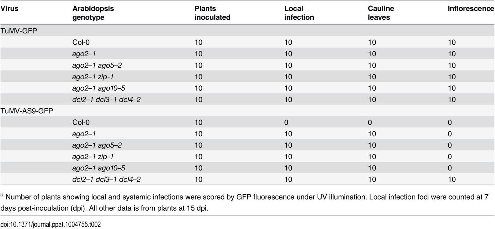 TuMV-GFP and TuMV-AS9-GFP infection in selected <i>ago2–1</i> based double mutants<em class=&quot;ref&quot;><sup>a</sup></em>.
