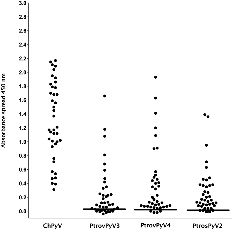 Reactivity of chimpanzee plasma samples to VP1 proteins of chimpanzee polyomaviruses.