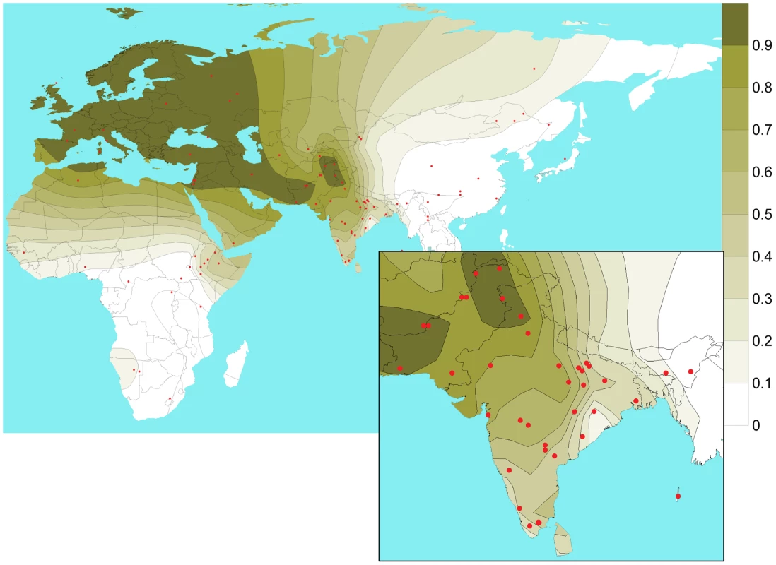 Isofrequency map illustrating the geospatial distribution of SNP rs1426654-A allele across the world.