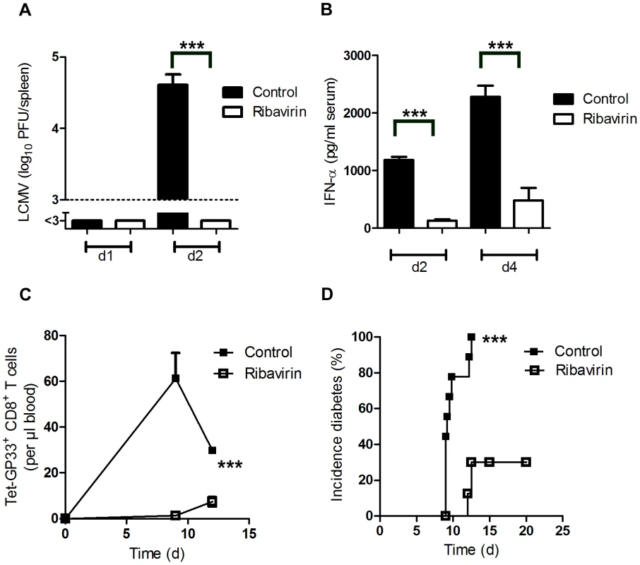 Pharmacologic inhibition of viral replication inhibits onset of autoimmune diabetes.