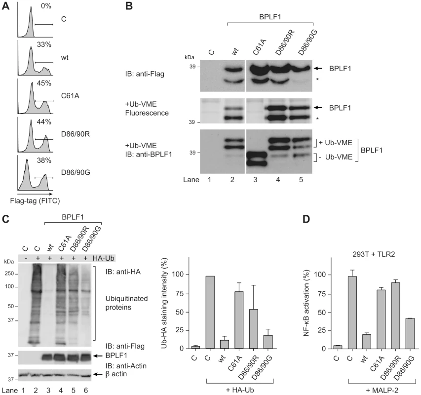 BPLF1-mediated modulation of TLR signaling correlates with deubiquitinase activity.