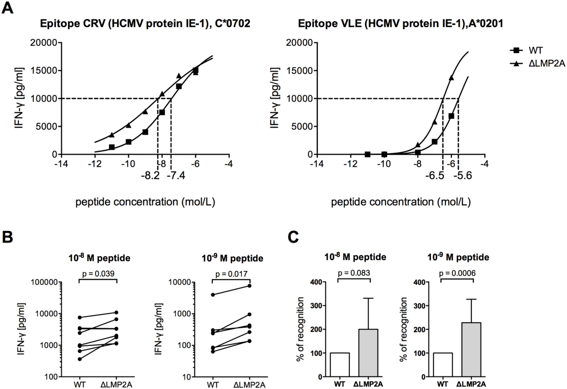 CD8+ T cell recognition of heterologous peptides on LCLs with or without LMP2A.