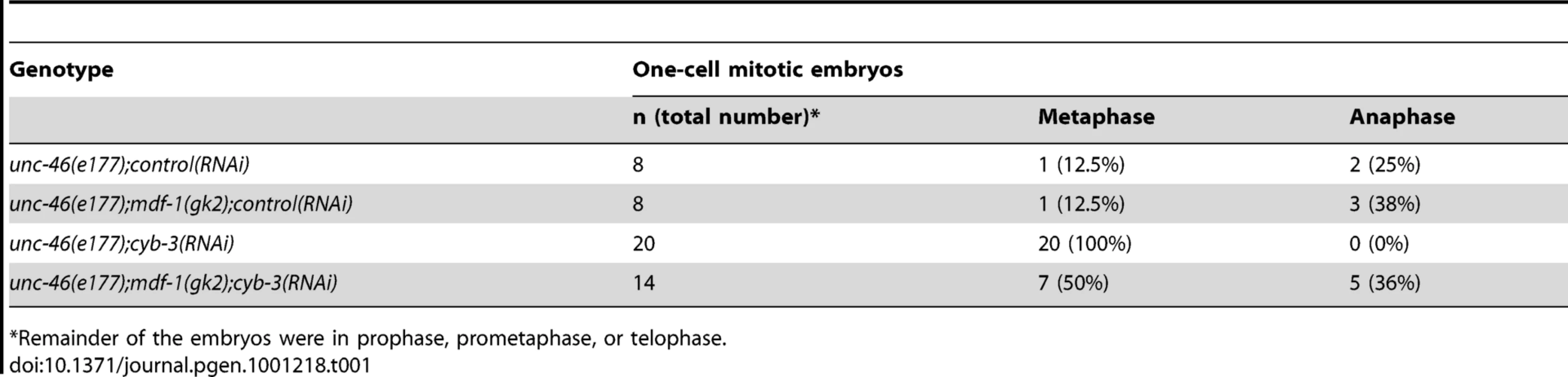 Number of metaphase and anaphase embryos in CYB-3-depleted <i>mdf-1(gk2)</i> embryos.