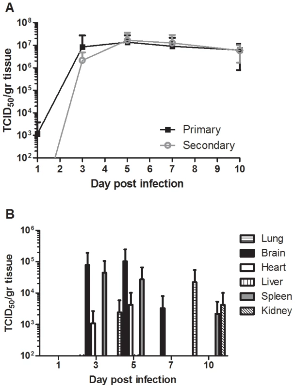 Nipah virus replication in human lung xenografts.