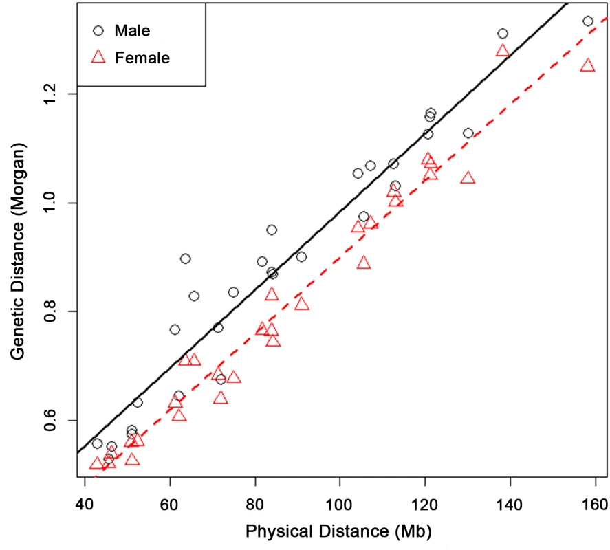 Male and female genetic lengths versus physical lengths of the 29 Bovine autosomes.