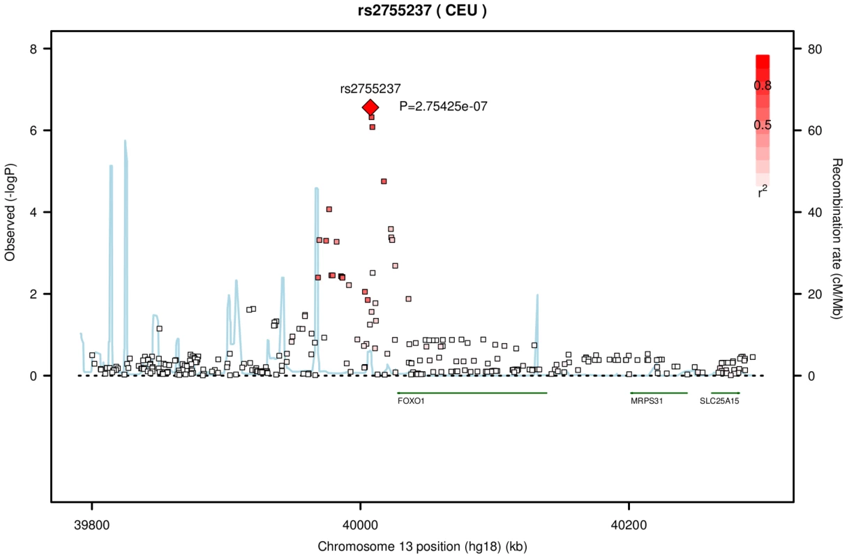 Association with CCT for variants on chromosome 13 from the meta-analysis of the AU and UK twin cohorts.