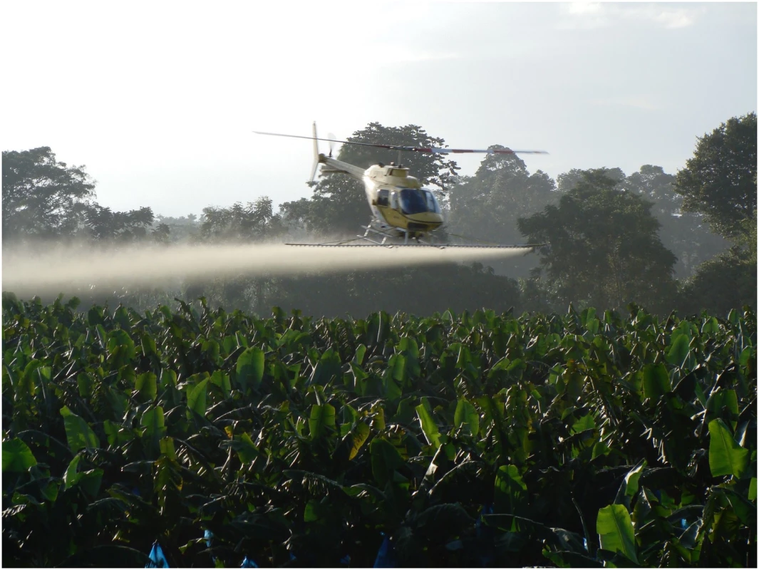 A spray helicopter completing a weekly fungicide application on a banana field affected by the Sigatoka disease complex in Costa Rica.