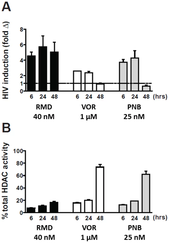 Induction of HIV expression and inhibition of cell-associated HDAC activity by HDACi.