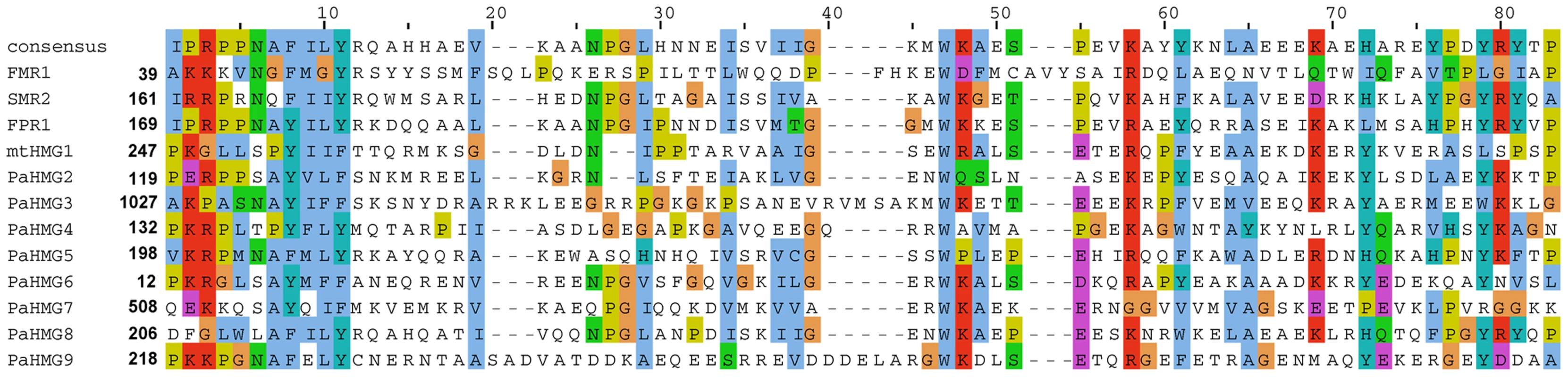 Alignment of HMG domains from the 12 HMG-box proteins of <i>P. anserina</i>.