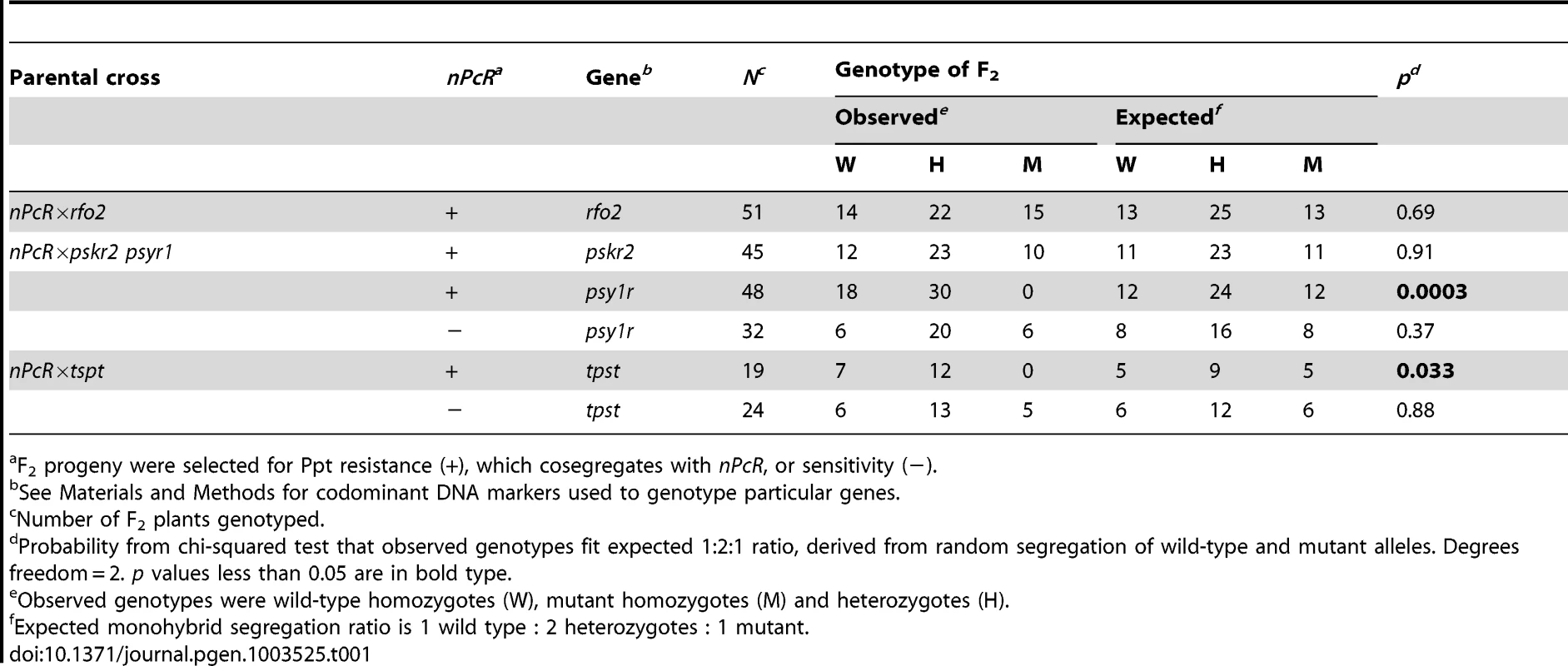F<sub>2</sub> segregation of mutants in crosses with transgene <i>nPcR</i>.