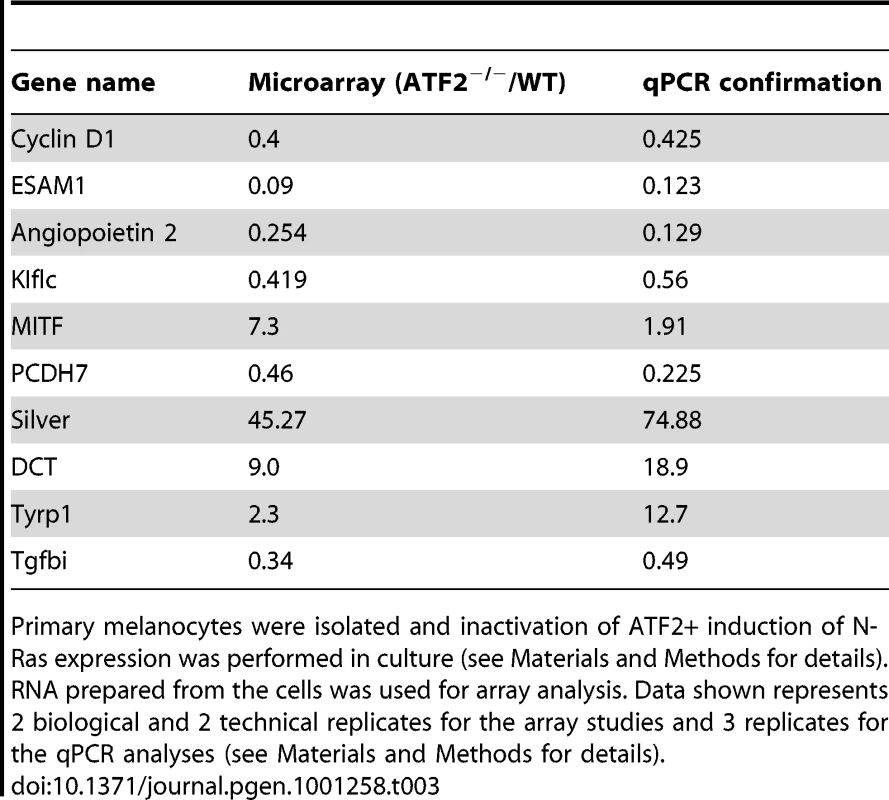 Microarray analysis of <i>ATF2<sup>+/+</sup>TyrCre<sup>+</sup>Nras<sup>+</sup>Ink4a<sup>−/−</sup></i> and <i>ATF2<sup>−/−</sup>TyrCre<sup>+</sup>Nras<sup>+</sup>Ink4a<sup>−/−</sup></i>melanocytes and confirmation by qPCR.