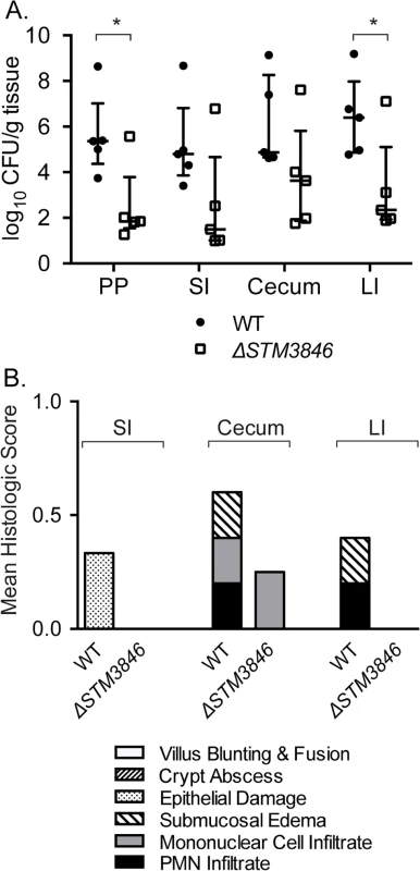 The Δ<i>STM3846</i> mutant colonizes the non-inflamed intestine poorly in the murine typhoid model.