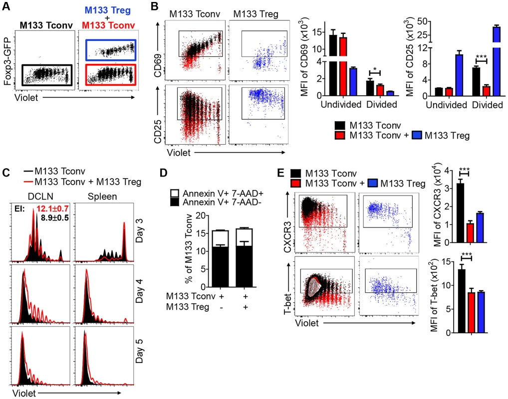 M133 Tregs inhibit M133 Tconv proliferation in, and egress from, the DCLN.