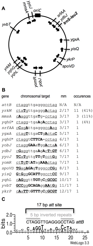 Map and DNA sequence of the primary and 15 secondary integration sites for ICE<i>Bs1</i>.