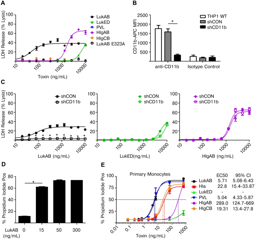 LukAB targets CD11b on human monocytes to potently induce cell death.