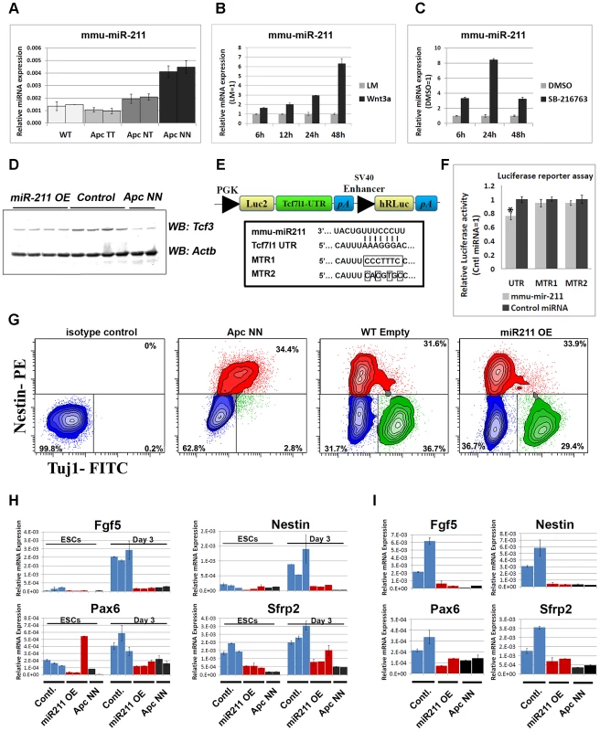 The Wnt-regulated miR-211 targets Tcf3 in mouse ESCs.