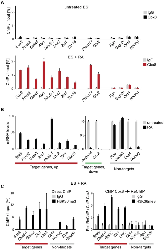 Cbx8 binding coincides with gene activation.