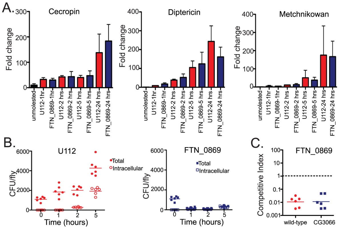 The clearance of extracellular FTN_0869 mutant is not due to altered imd pathway activation, antimicrobial peptide induction, or the <i>Drosophila</i> melanization response.