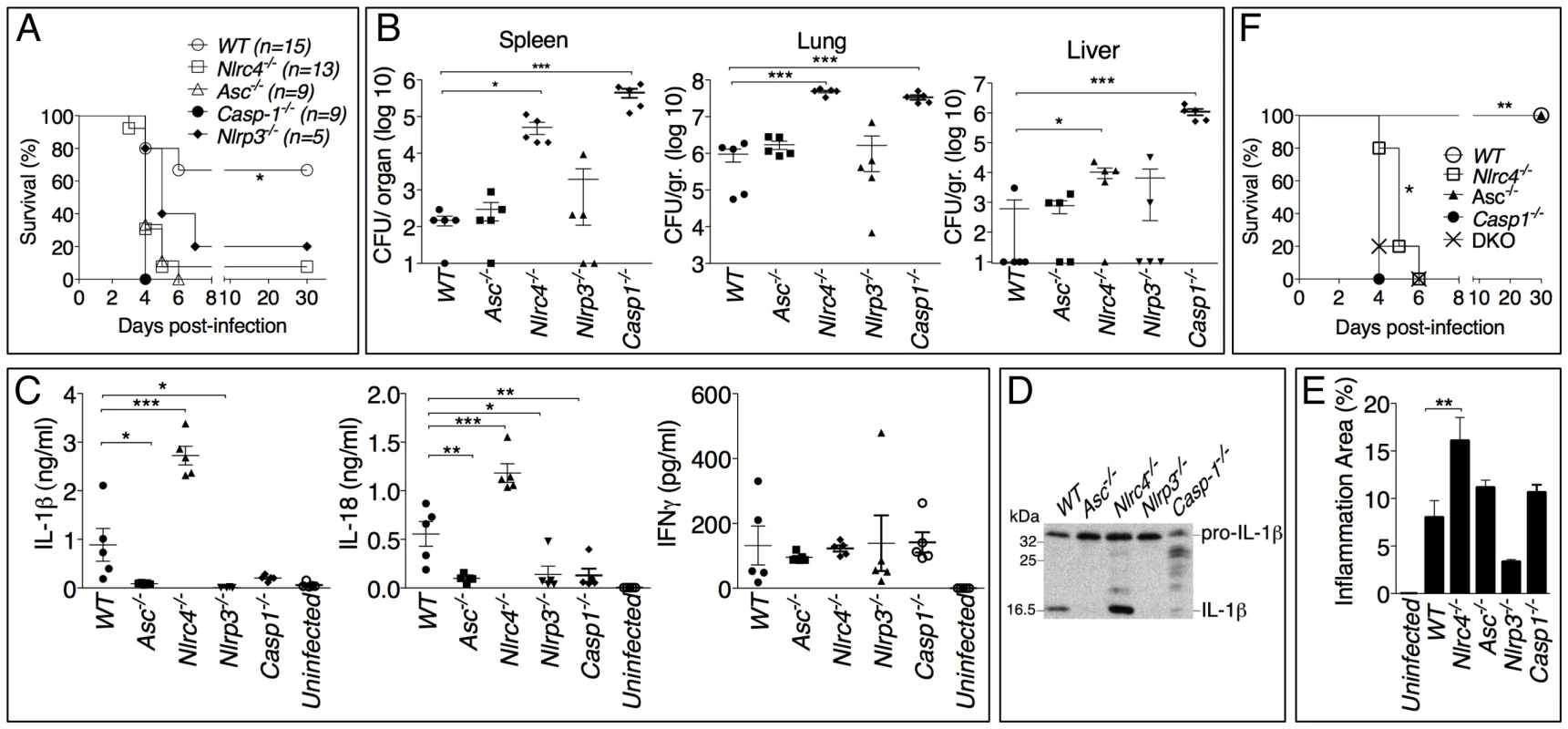 Differential contributions of NLRP3 and NLRC4 to melioidosis.
