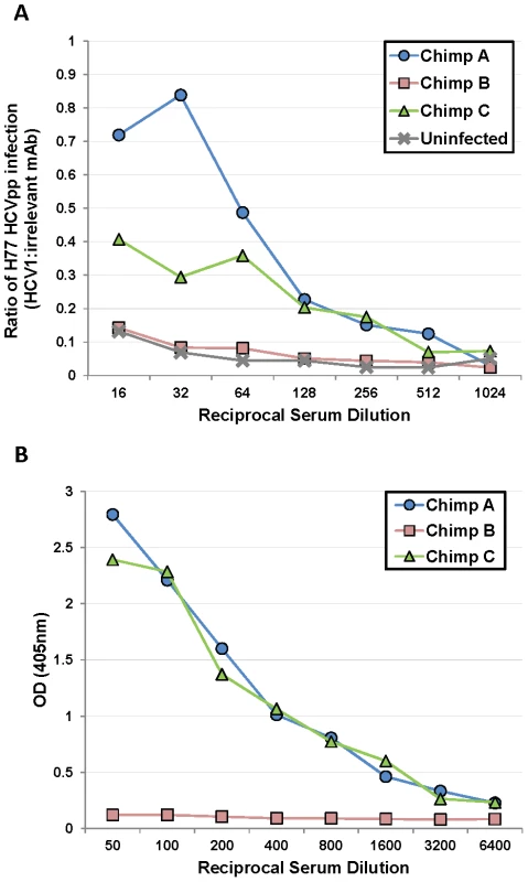 Serum from poorly-responding chimpanzees inhibits HCV1 neutralization of H77–HCVpp.