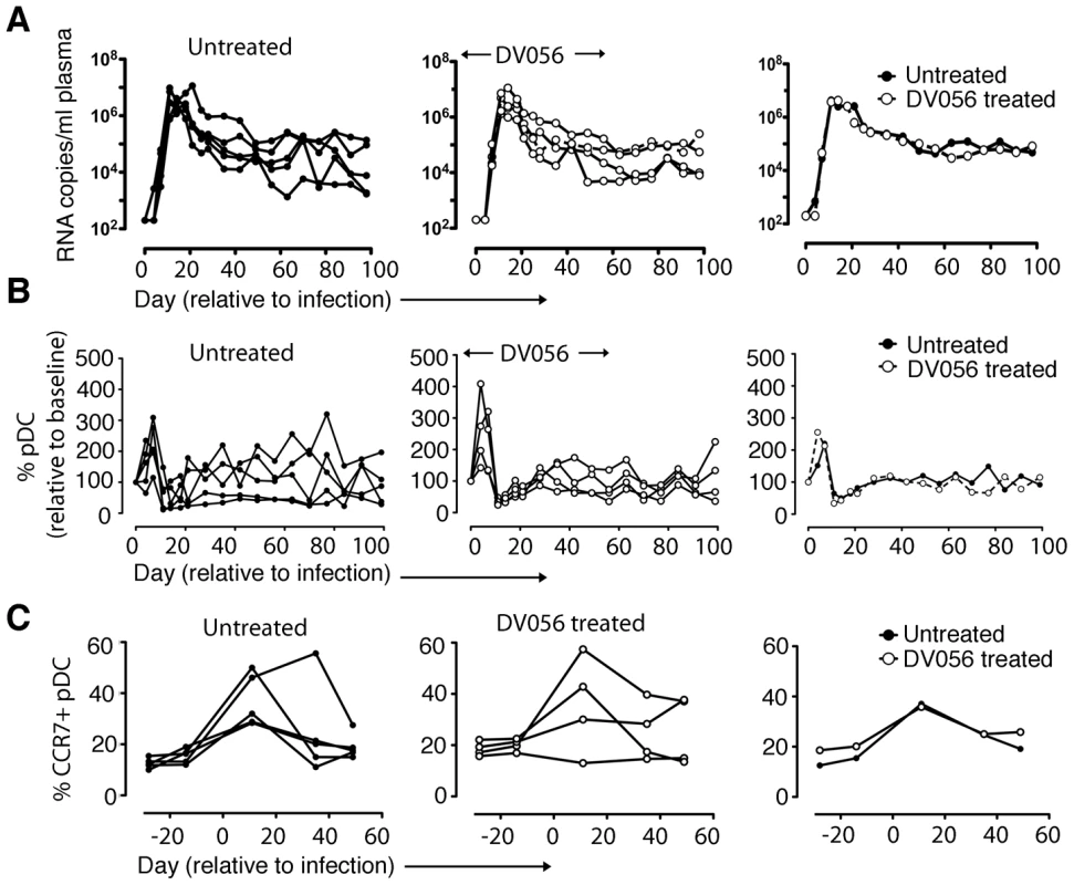 TLR7 and TLR9 blockade does not impact virus load or pDC kinetics.