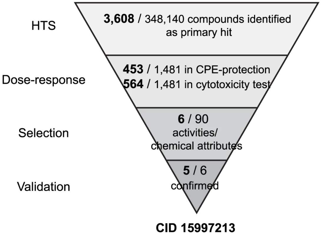 HTS of 348K compounds and identification of the hit compound.