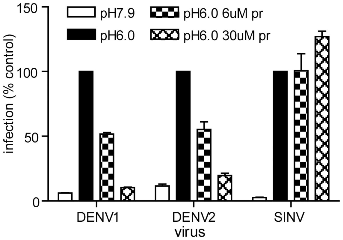 Pr peptide inhibits DENV fusion and infection.