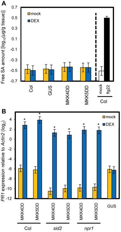 SA signaling is not involved in <i>PR1</i> induction by sustained MAPK activation.