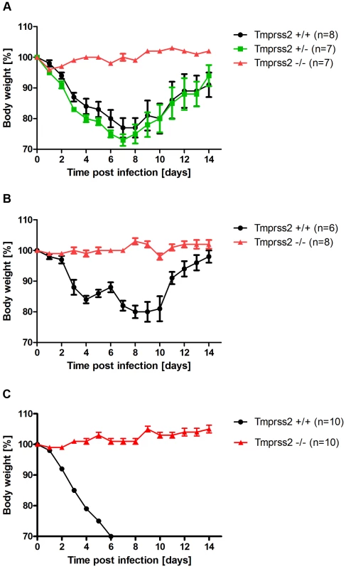 <i>Tmprss2</i> is essential for spread and pathogenesis of H1N1 influenza viruses.