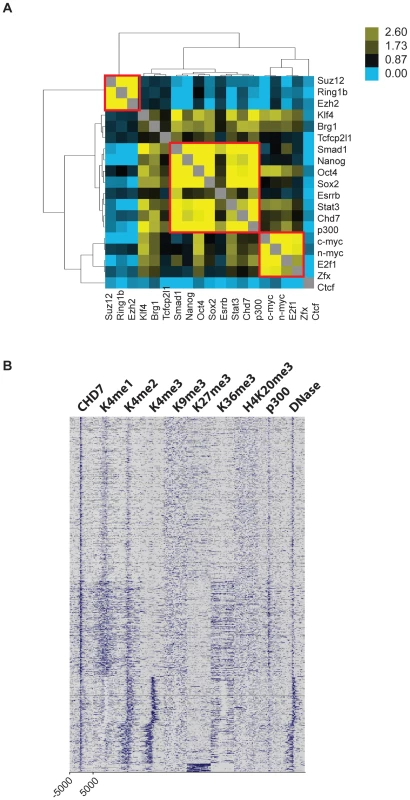 CHD7 binding sites near CHD7-regulated genes show the features of enhancer elements.