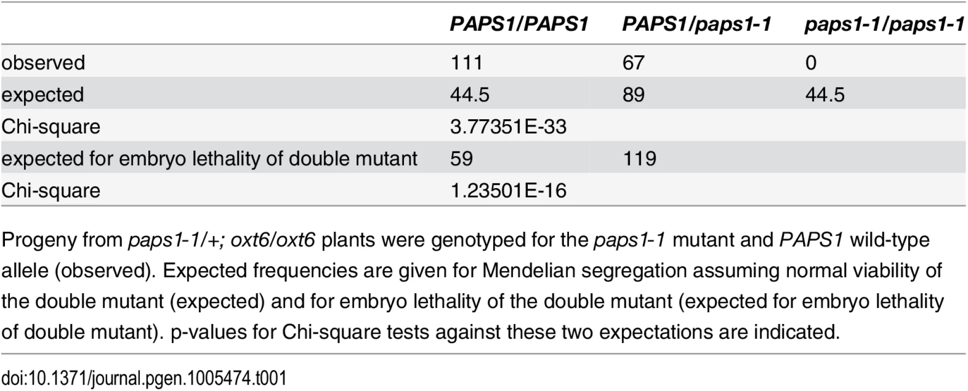 Distribution of <i>PAPS1</i> genotypes in the progeny of <i>paps1-1/+</i>; <i>oxt6/oxt6</i> plants.