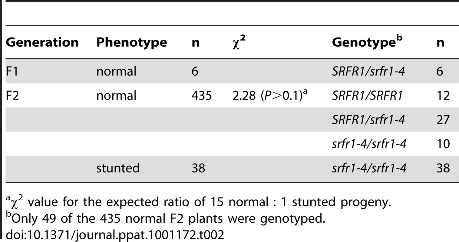 A second recessive Col-0 allele is required for stunting in the cross RLD×<i>srfr1-4</i>.