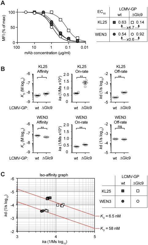 Facilitated binding of neutralizing mAb to Glc9-deficient LCMV-GP-1.