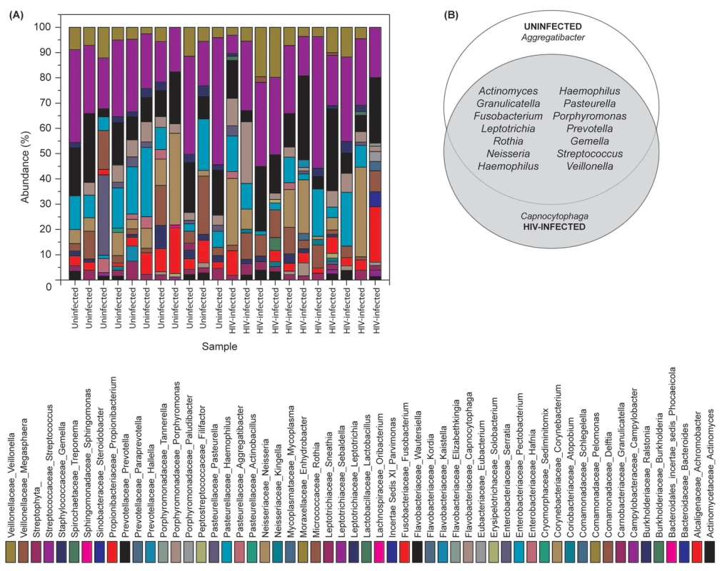 Bacterial microbiome (bacteriome) of HIV-infected patients and uninfected individuals.